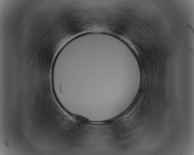 X0000097471343200803201440