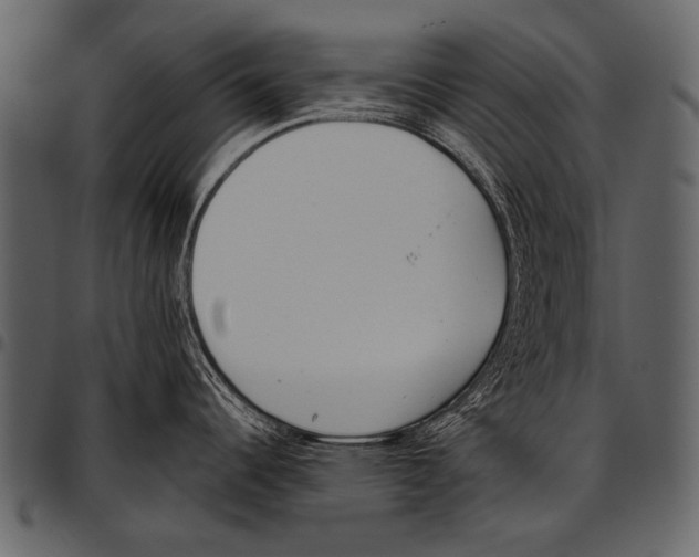 X0000097471344200803201440