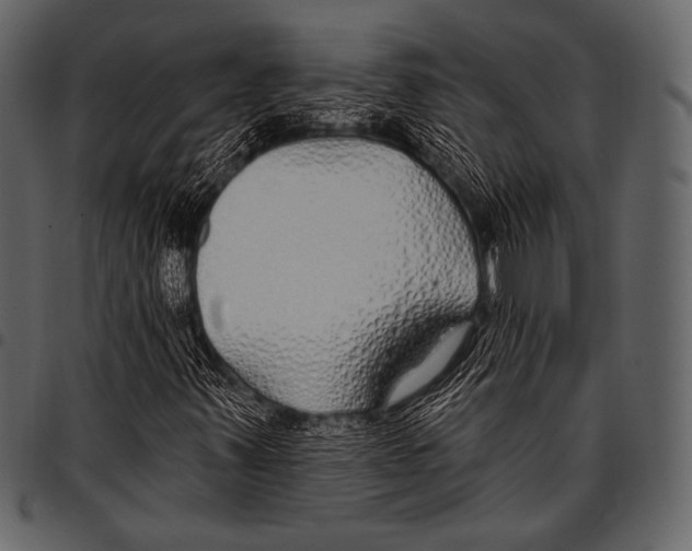 X0000097471347200803201439