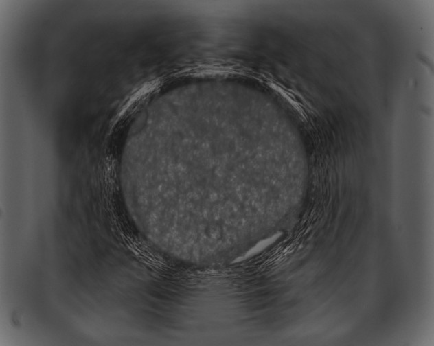 X0000097471351200803201439