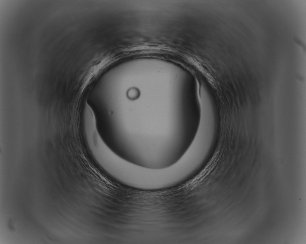 X0000097471357200803201439