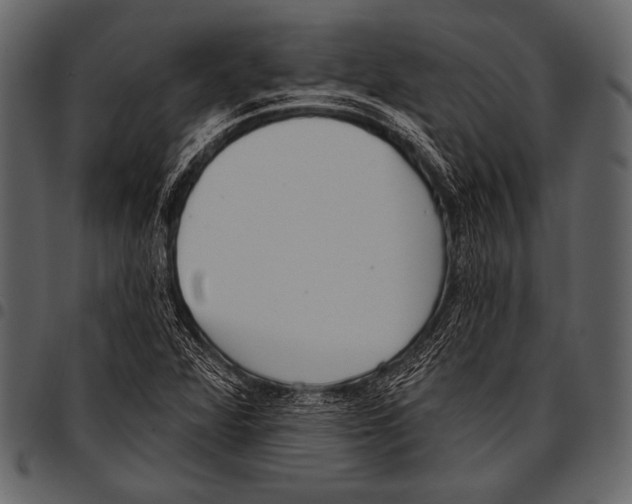 X0000097471360200803201439