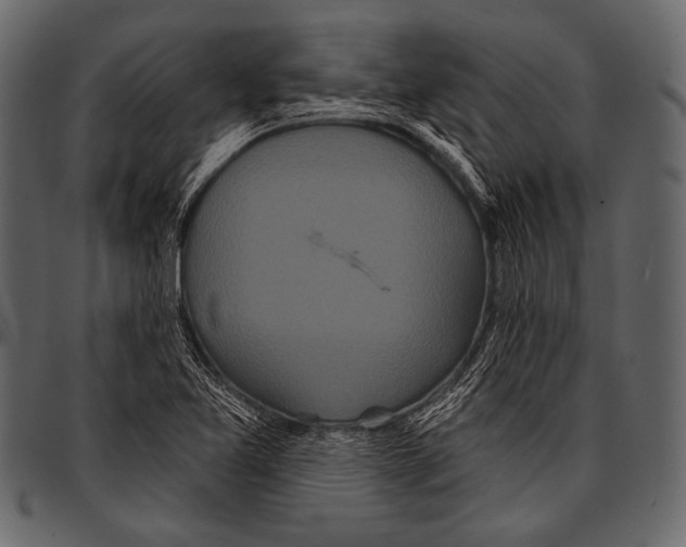 X0000097471365200803201439