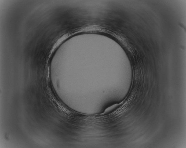 X0000097471366200803201439