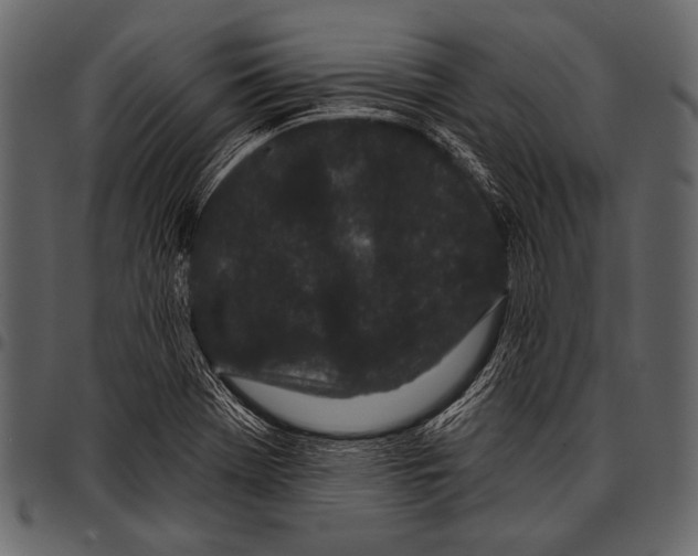 X0000097471369200803201439