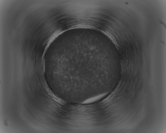 X0000097471371200803201439