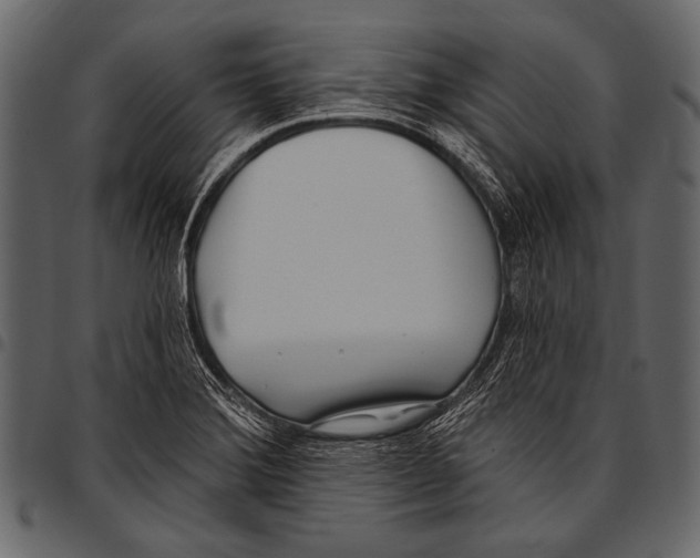 X0000097471372200803201439