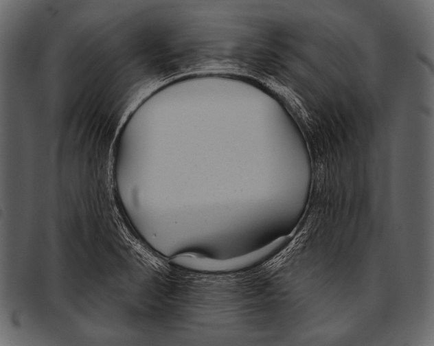 X0000097471374200803201439