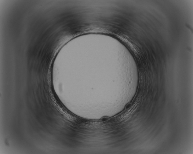 X0000097471375200803201439