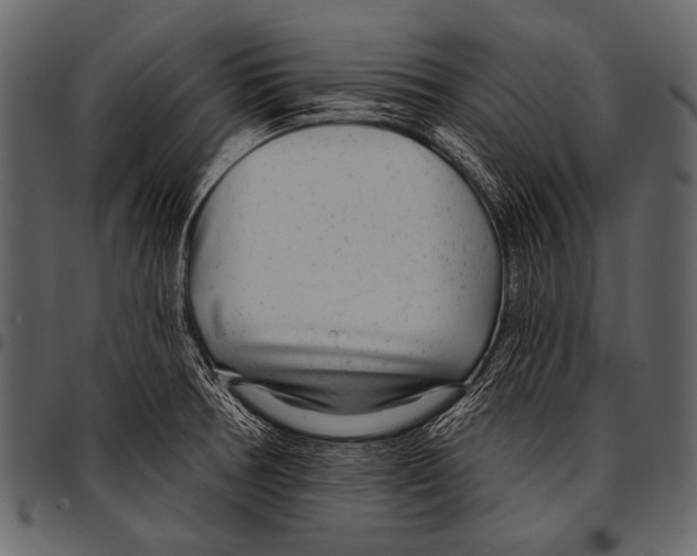 X0000097471378200803201438