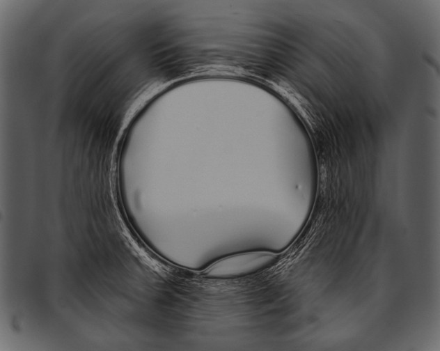 X0000097471379200803201438