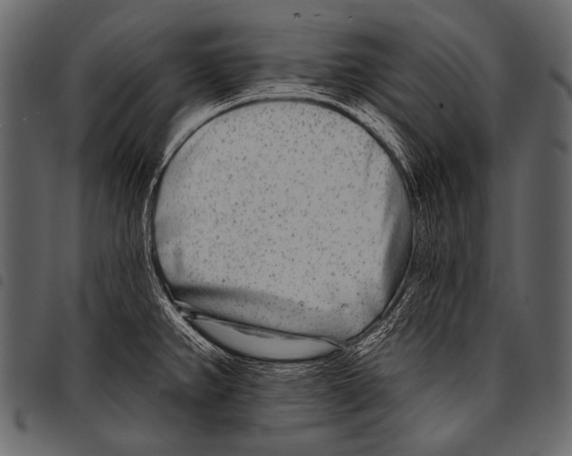 X0000097471382200803201438