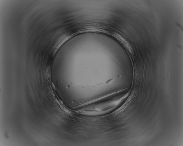 X0000097471385200803201438