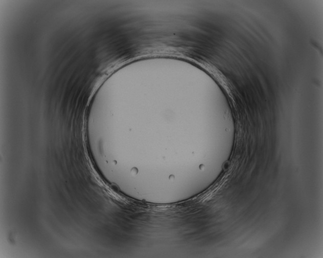 X0000097471390200803201438