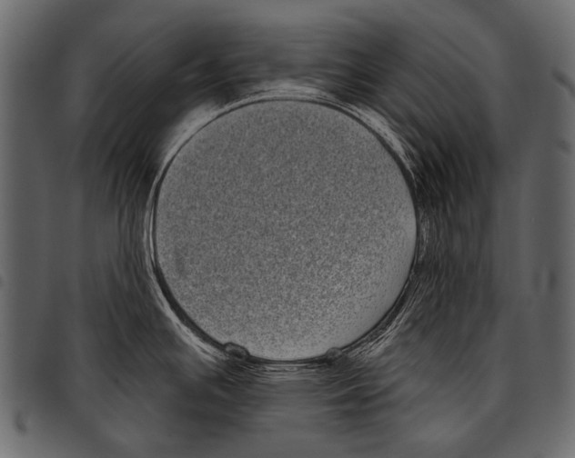 X0000097471391200803201438