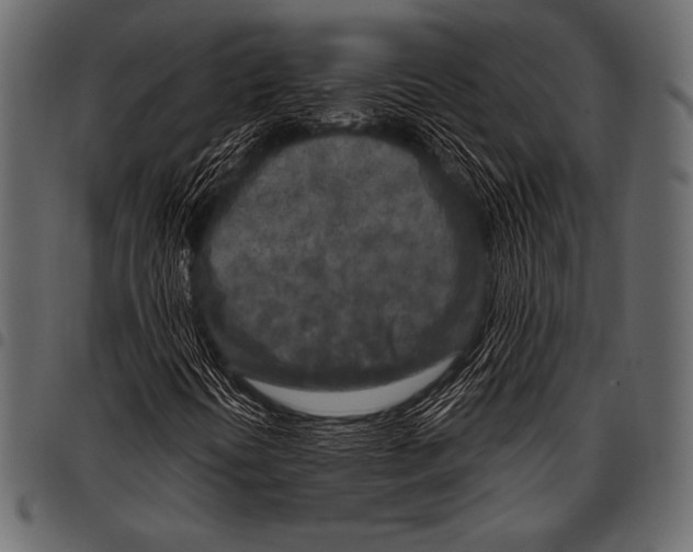 X0000097471394200803201438