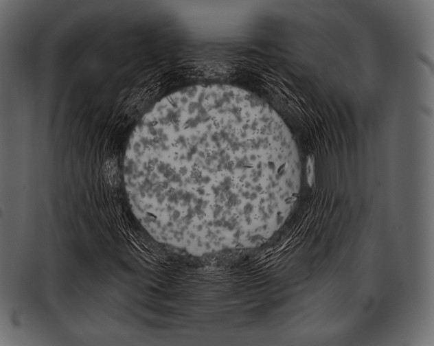 X0000097471395200803201438