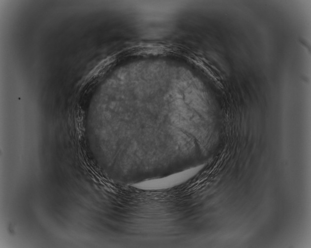 X0000097471399200803201438