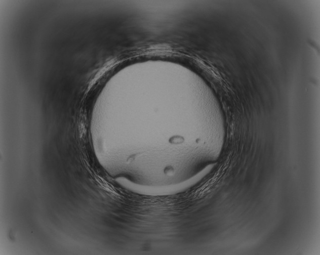 X0000097471400200803201438