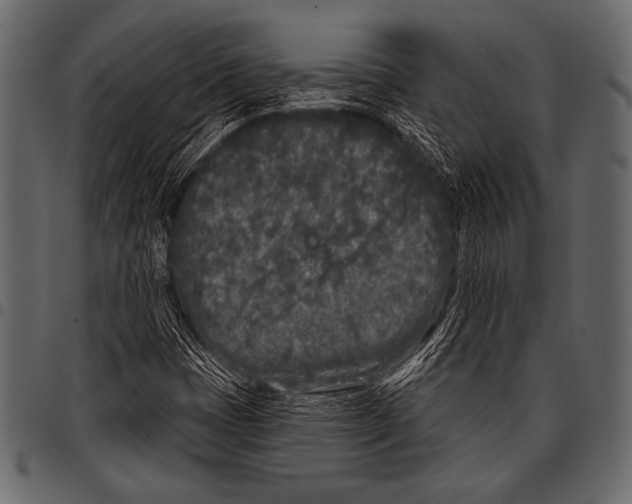 X0000097471401200803201438