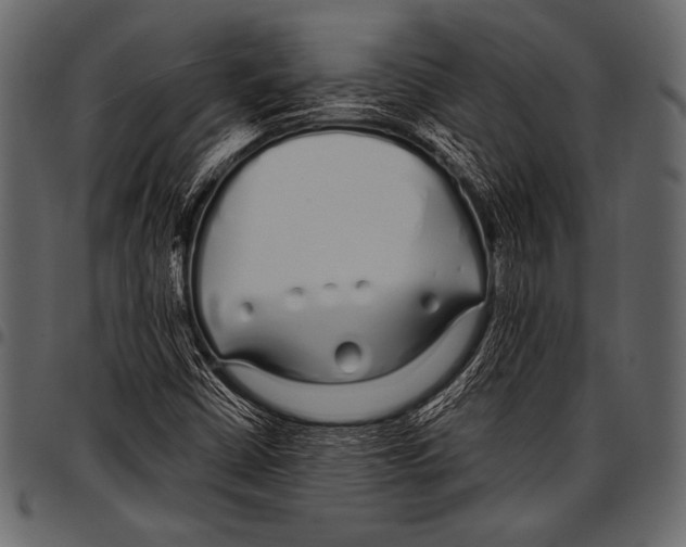 X0000097471402200803201438