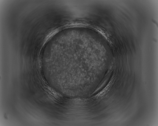 X0000097471405200803201438