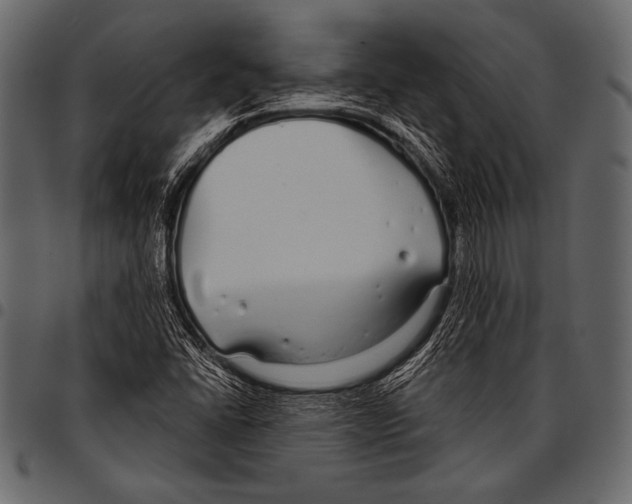 X0000097471406200803201438