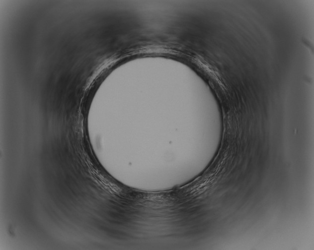 X0000097471408200803201438