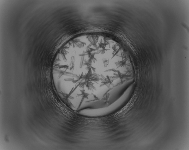 X0000097471409200803201438