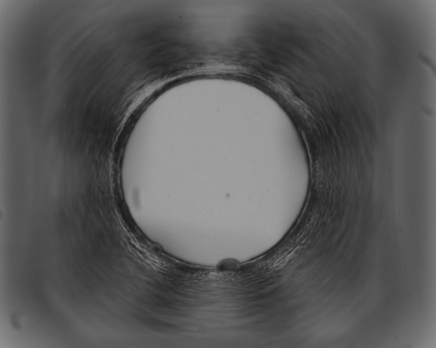 X0000097471412200803201438