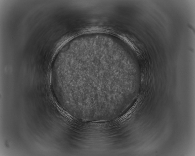 X0000097471413200803201438