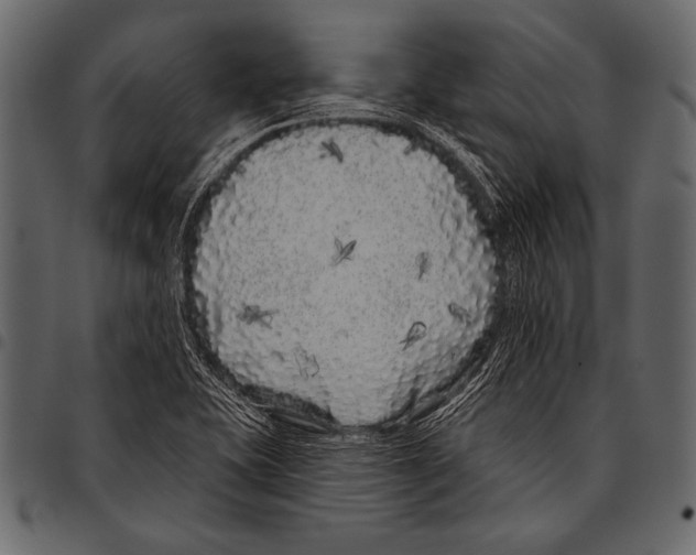 X0000097471415200803201438