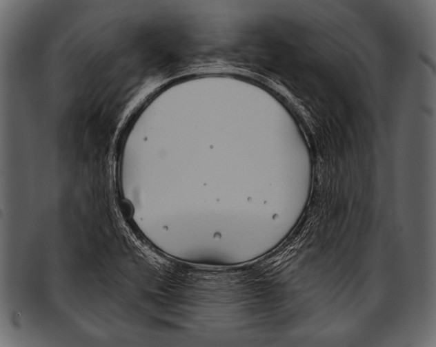 X0000097471416200803201438