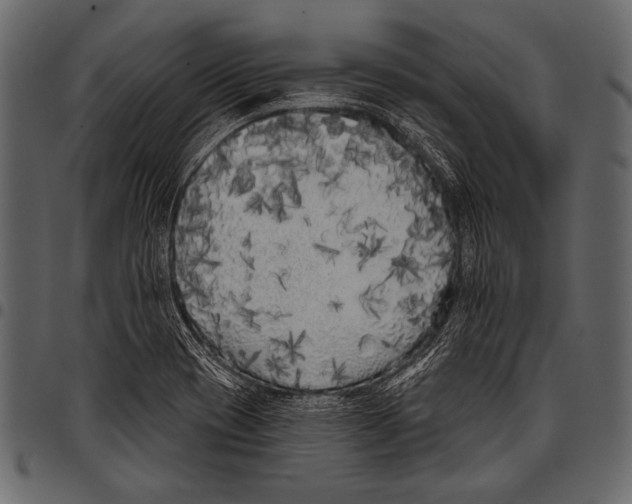 X0000097471417200803201438