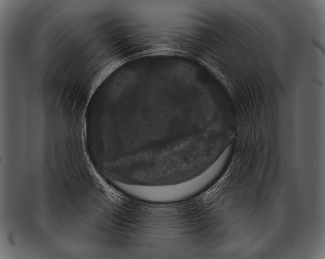 X0000097471418200803201438