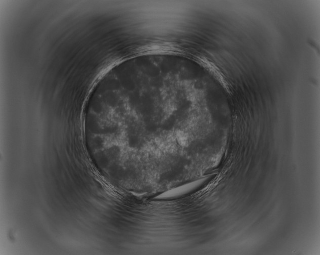 X0000097471419200803201438