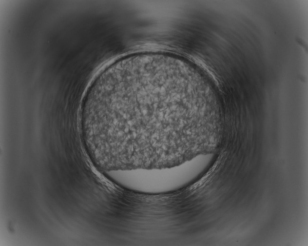 X0000097471421200803201438