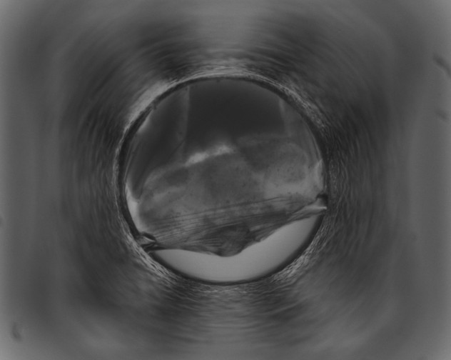 X0000097471422200803201438