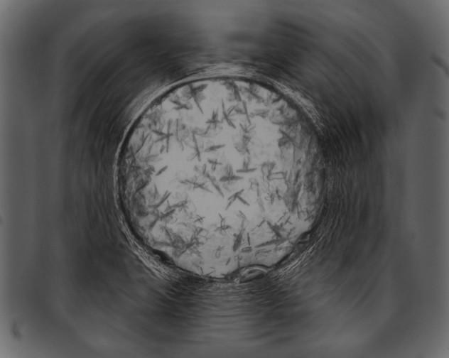 X0000097471423200803201438