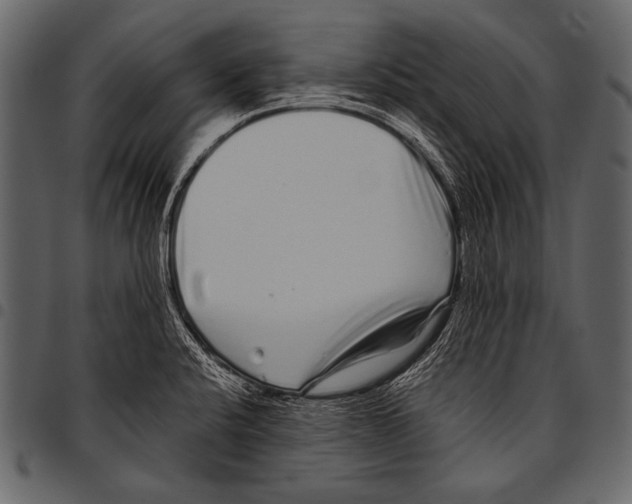 X0000097471424200803201438