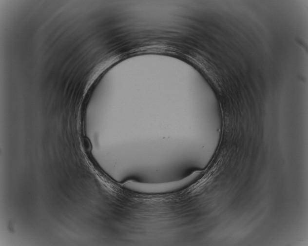 X0000097471426200803201438