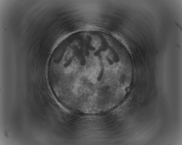 X0000097471429200803201438