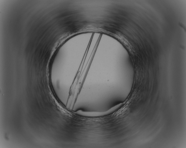 X0000097471430200803201438