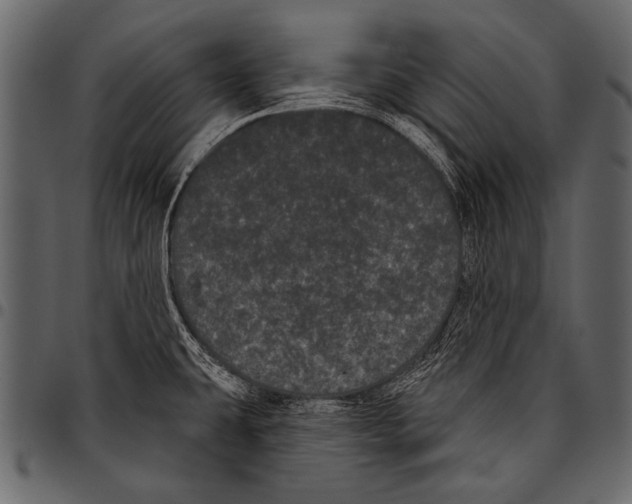 X0000097471431200803201438