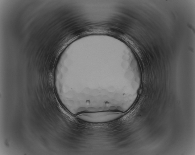 X0000097471433200803201438