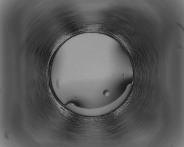 X0000097471434200803201438