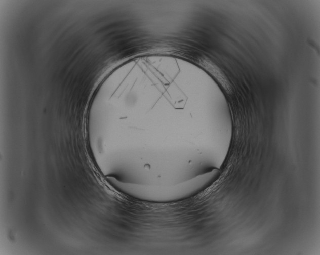 X0000097471436200803201438