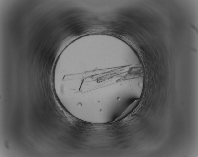 X0000097471440200803201438