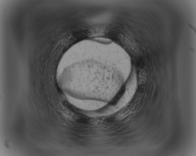 X0000097471441200803201438