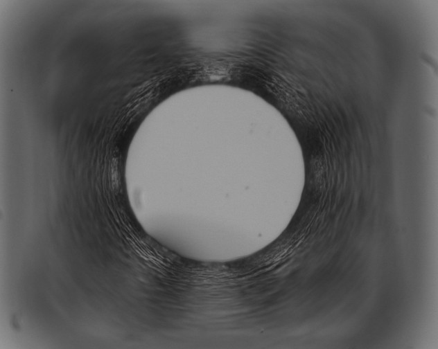 X0000097471442200803201438